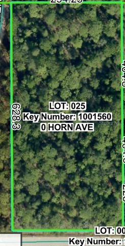 0 HORN AVENUE, Brooksville, FL 34613