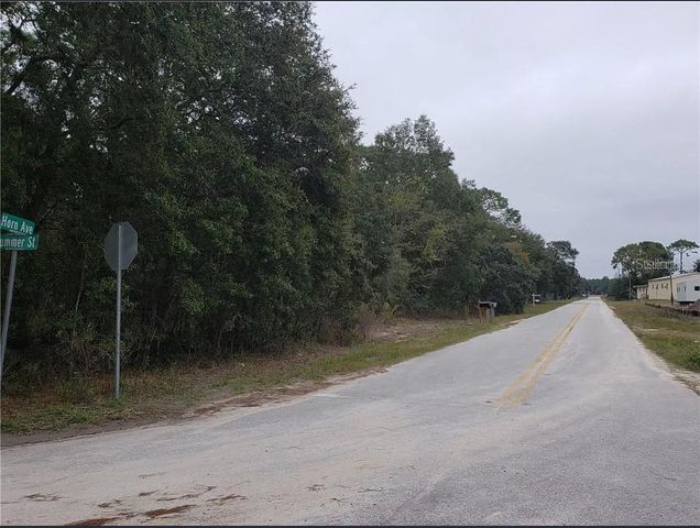 0 HORN AVENUE, Brooksville, FL 34613