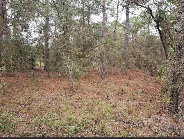 0 HORN AVENUE, Brooksville, FL 34613