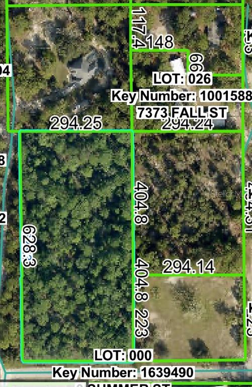 0 HORN AVENUE, Brooksville, FL 34613
