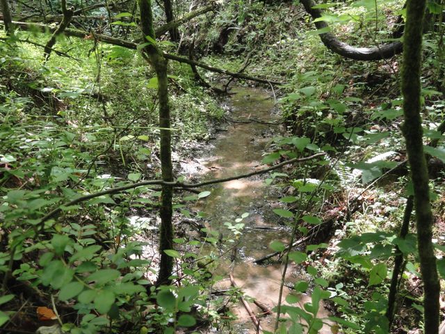396 County Road 778, Athens, TN 37303