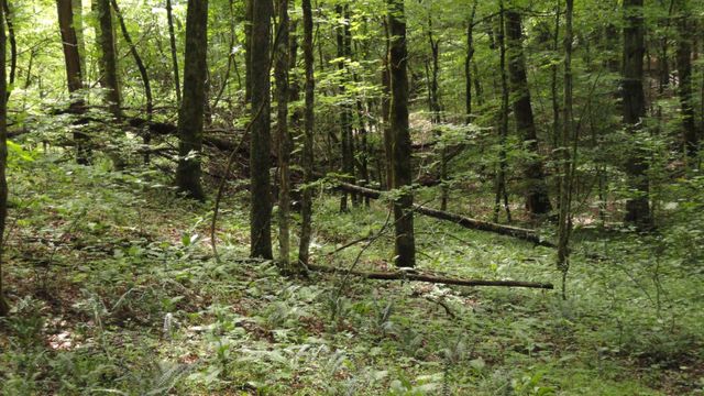 396 County Road 778, Athens, TN 37303