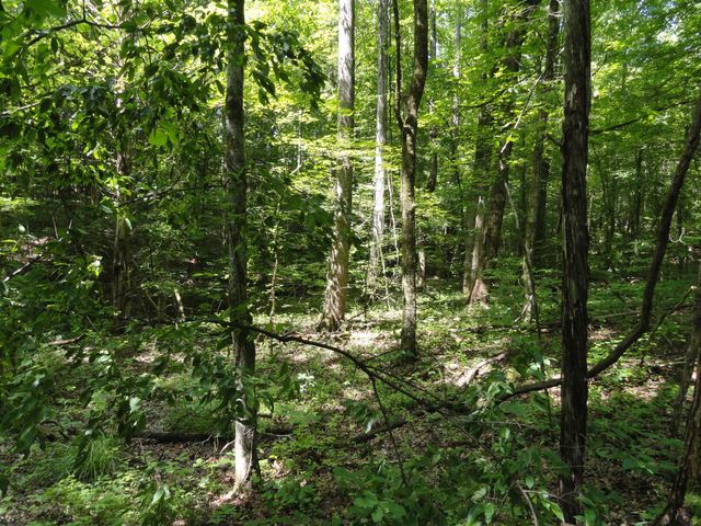 396 County Road 778, Athens, TN 37303