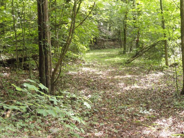 396 County Road 778, Athens, TN 37303