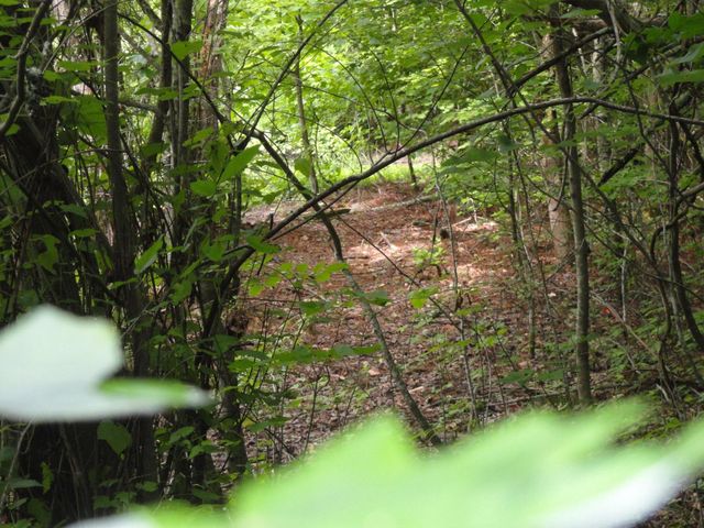 396 County Road 778, Athens, TN 37303