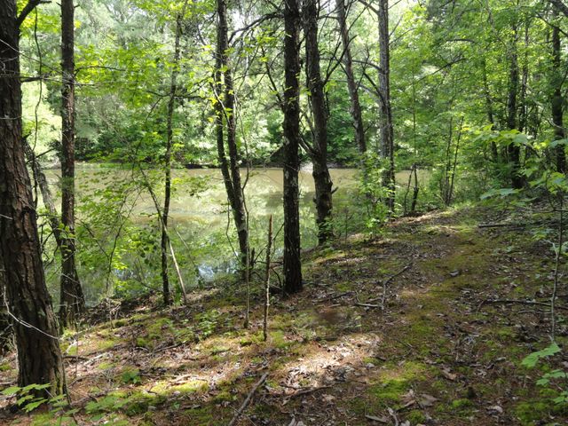396 County Road 778, Athens, TN 37303