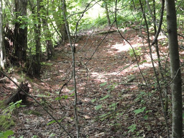 396 County Road 778, Athens, TN 37303