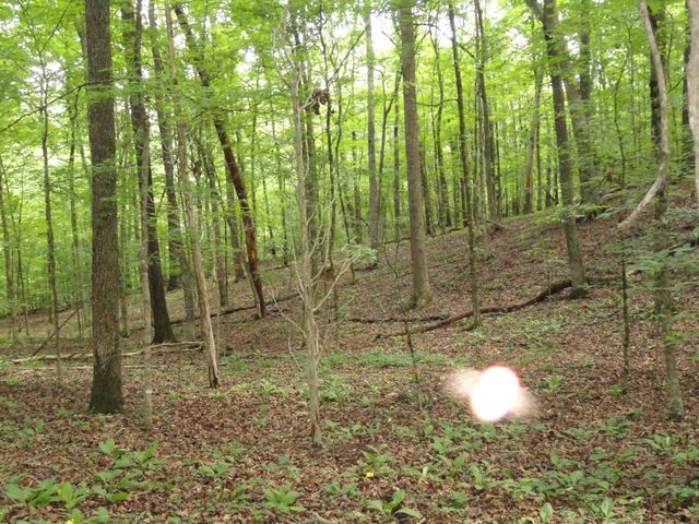396 County Road 778, Athens, TN 37303