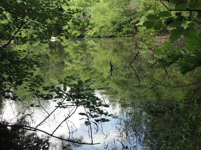 396 County Road 778, Athens, TN 37303