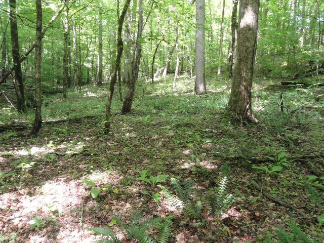 396 County Road 778, Athens, TN 37303