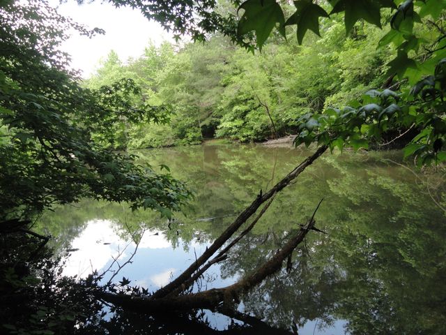 396 County Road 778, Athens, TN 37303