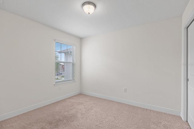 11736 CAMBIUM CROWN DRIVE, Riverview, FL 33569