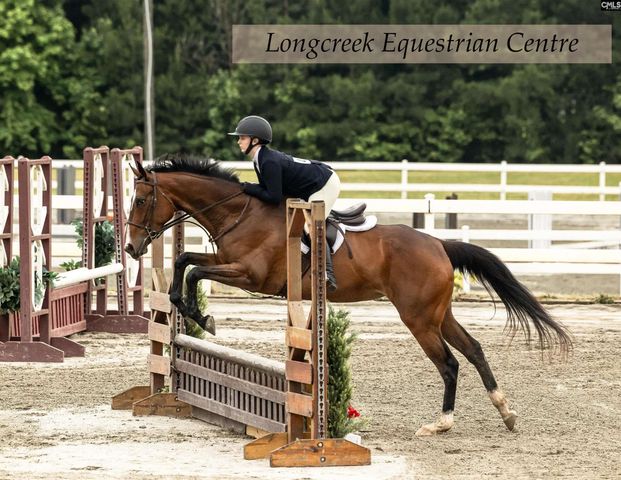 202 Columbia Club Drive E, Blythewood, SC 29016