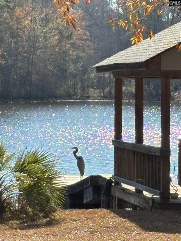 202 Columbia Club Drive E, Blythewood, SC 29016