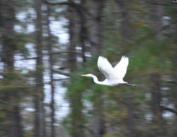 202 Columbia Club Drive E, Blythewood, SC 29016