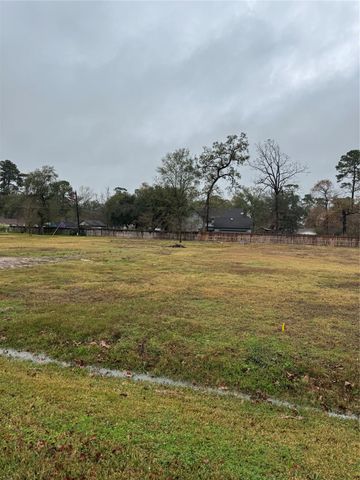 1619 Sungail Drive, Spring, TX 77386