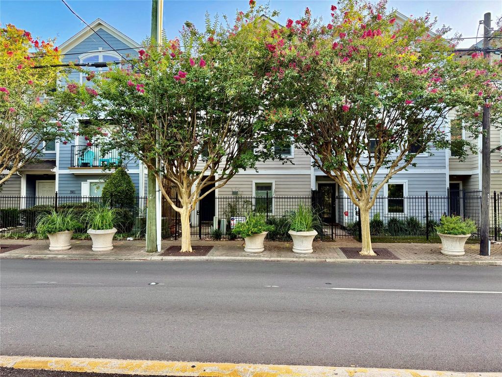 1708 Elgin Street, Houston, TX 77004