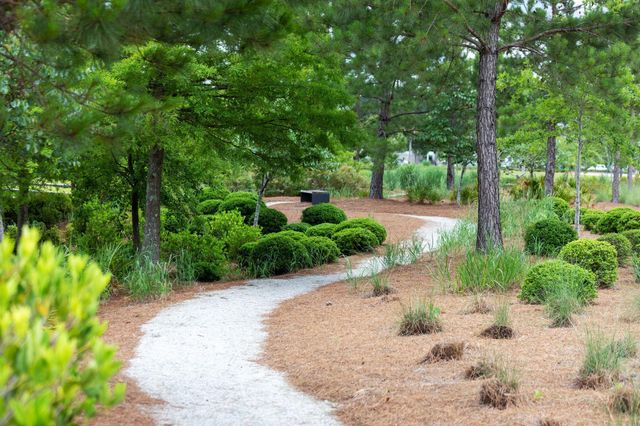 262 Great Lawn Drive, Summerville, SC 29486