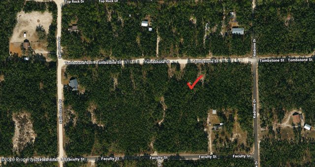 33240 Tombstone Street, Webster, FL 33597