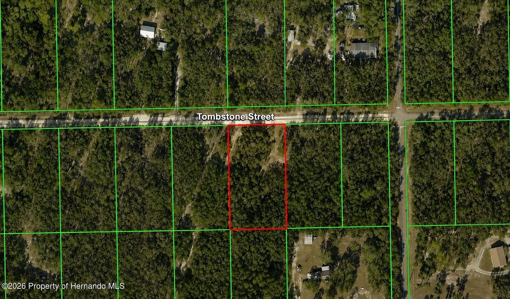 33240 Tombstone Street, Webster, FL 33597
