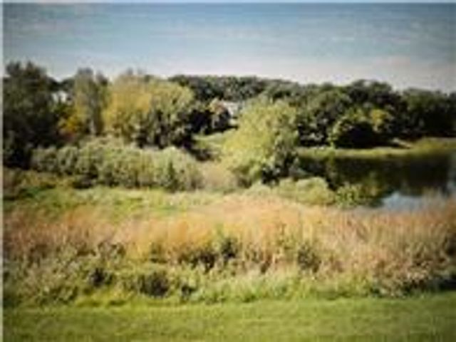 7445 Timber Crest Drive S, Cottage Grove, MN 55016