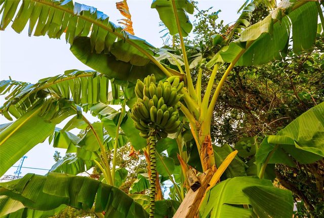 10874 71ST AVENUE, Seminole, FL 33772