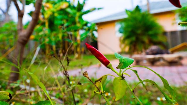 10874 71ST AVENUE, Seminole, FL 33772