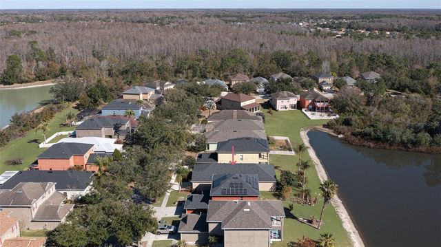 9417 LEATHERWOOD AVENUE, Tampa, FL 33647