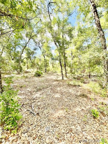 10720 E Barret Lane, Inverness, FL 34450