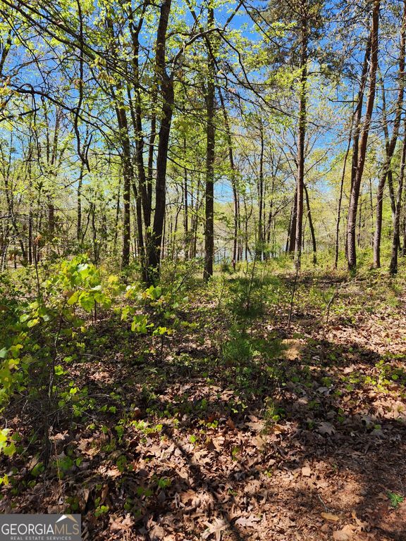 0 Crawfords Ferry Point, Hartwell, GA 30643 — exterior