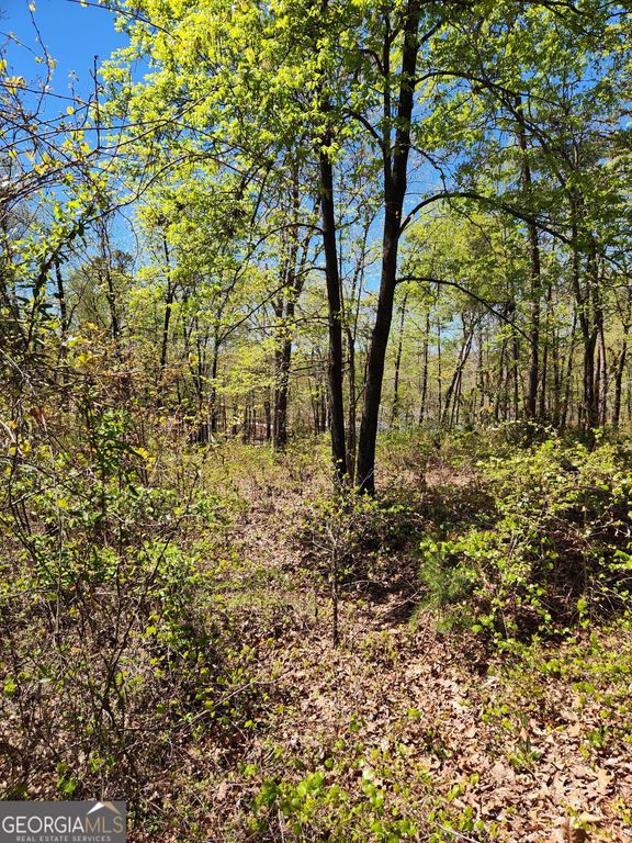 0 Crawfords Ferry Point, Hartwell, GA 30643 — photo 2