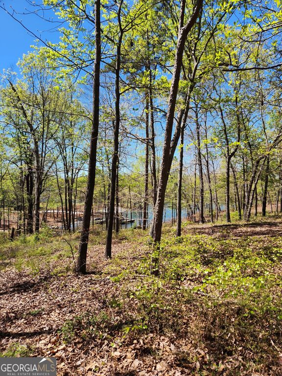 0 Crawfords Ferry Point, Hartwell, GA 30643 — photo 3