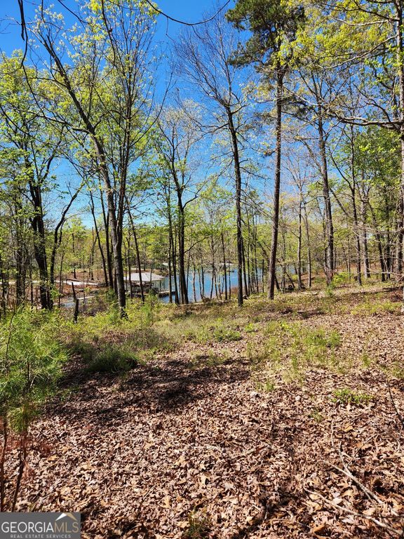 0 Crawfords Ferry Point, Hartwell, GA 30643 — photo 4