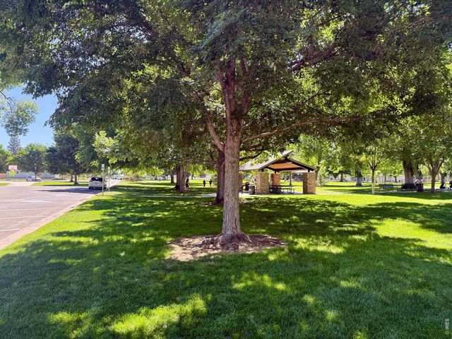 112 Elm St, Windsor, CO 80550
