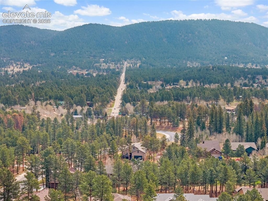 1101 Ptarmigan Drive, Woodland Park, CO 80863 — photo 3
