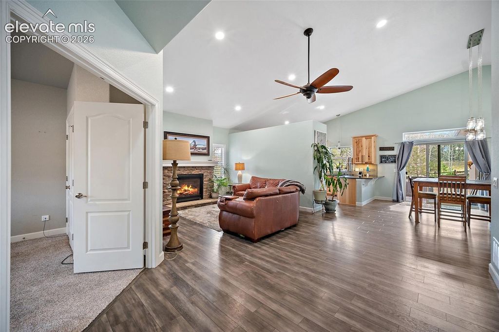 1101 Ptarmigan Drive, Woodland Park, CO 80863 — photo 5