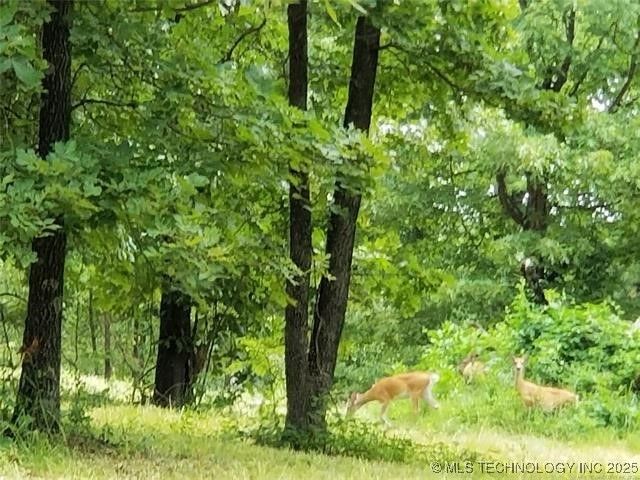 67 Edge Water Road, Eufaula, OK 74432