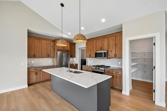 1732 Spruce Street, Farmington, MN 55024
