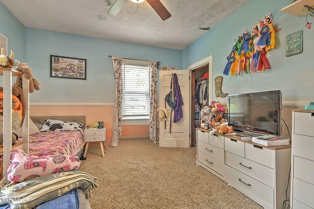 310 Hugh Cox Road, Gray, TN 37615
