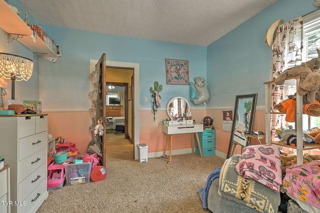 310 Hugh Cox Road, Gray, TN 37615