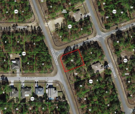 7101 N HENDERSON WAY, Dunnellon, FL 34434