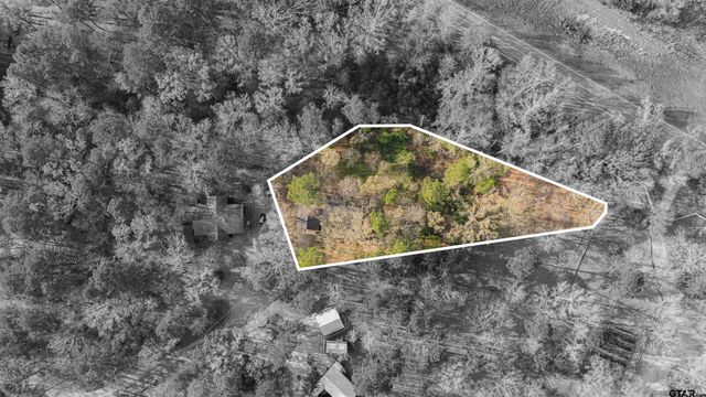 221 Butternut Glen, Holly Lake Ranch, TX 75765