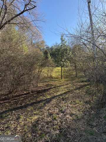 0 Blue Arrow Lane, Mineral Bluff, GA 30559