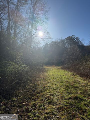 0 Blue Arrow Lane, Mineral Bluff, GA 30559