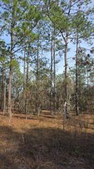 0 NW Alvarez Rd N NW ALVAREZ RD HIGHWAY, Dunnellon, FL 34431