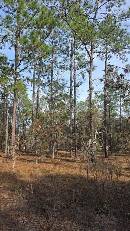 0 NW Alvarez Rd N NW ALVAREZ RD HIGHWAY, Dunnellon, FL 34431
