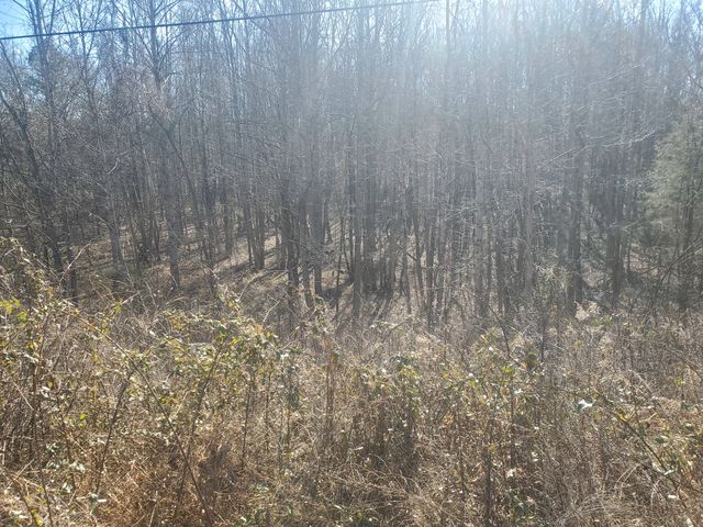 0 Summer Breeze Dr, Smithville, TN 37166