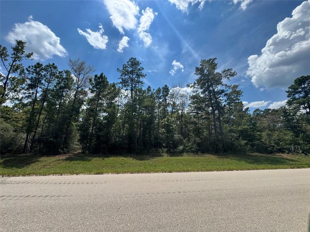 30 Coyote Run, Willis, TX 77378