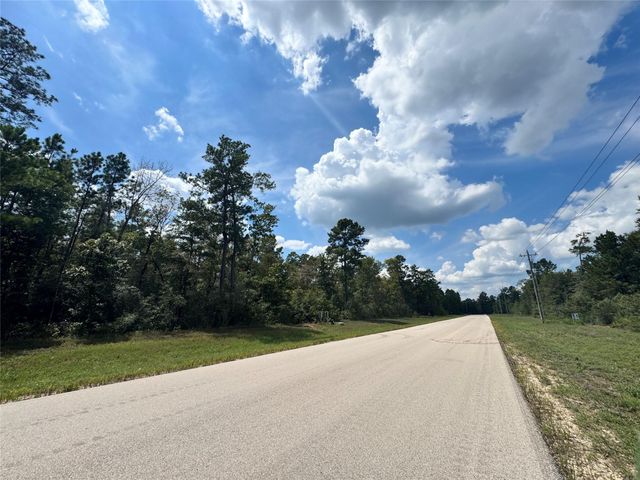 30 Coyote Run, Willis, TX 77378