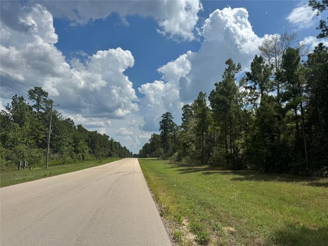 30 Coyote Run, Willis, TX 77378